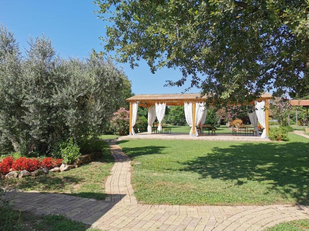 Farm stay Il Podere Di Sole *