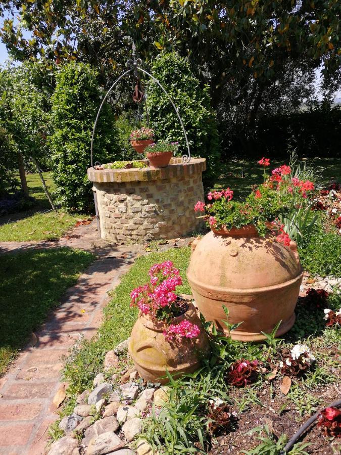 Il Podere Di Sole Farm stay Roccastrada