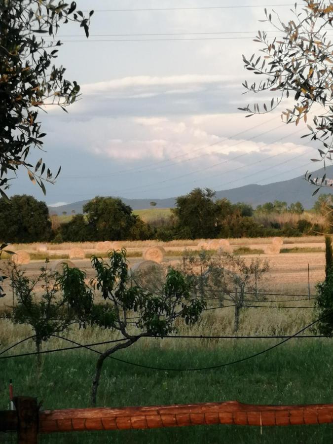 Vakantieboerderij Il Podere Di Sole Roccastrada