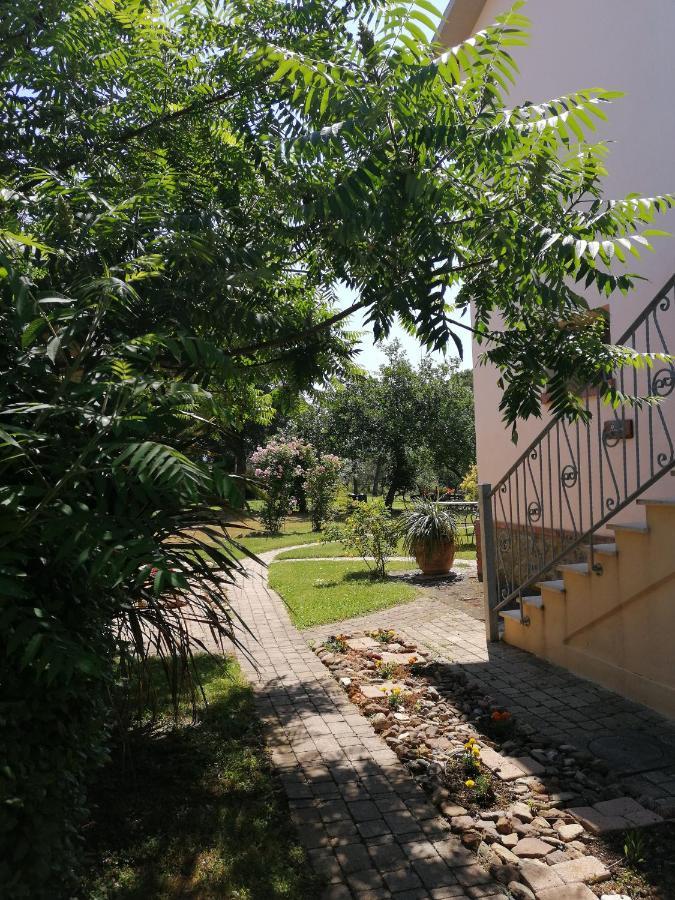 Il Podere Di Sole * Roccastrada