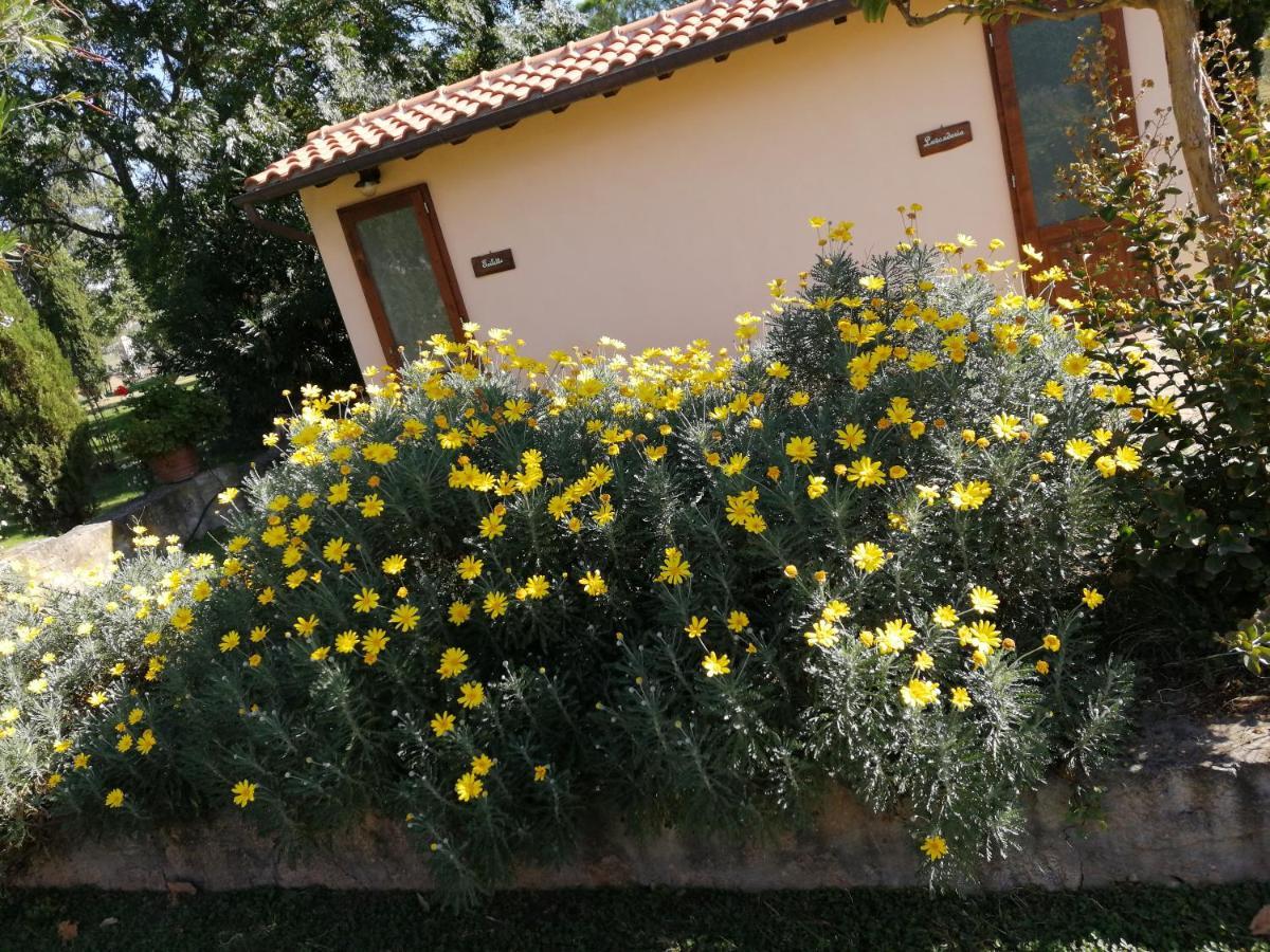 Il Podere Di Sole