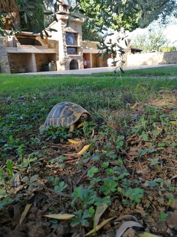 Il Podere Di Sole Vakantieboerderij