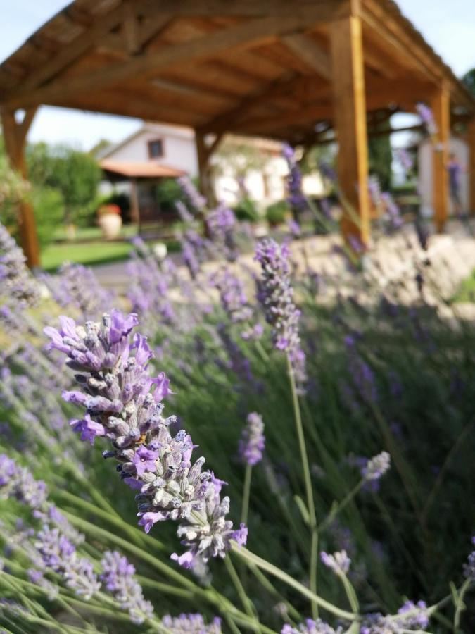 Il Podere Di Sole *