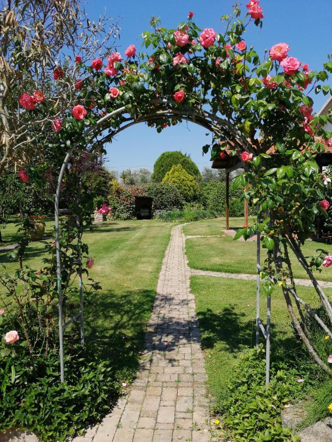 Il Podere Di Sole Vakantieboerderij