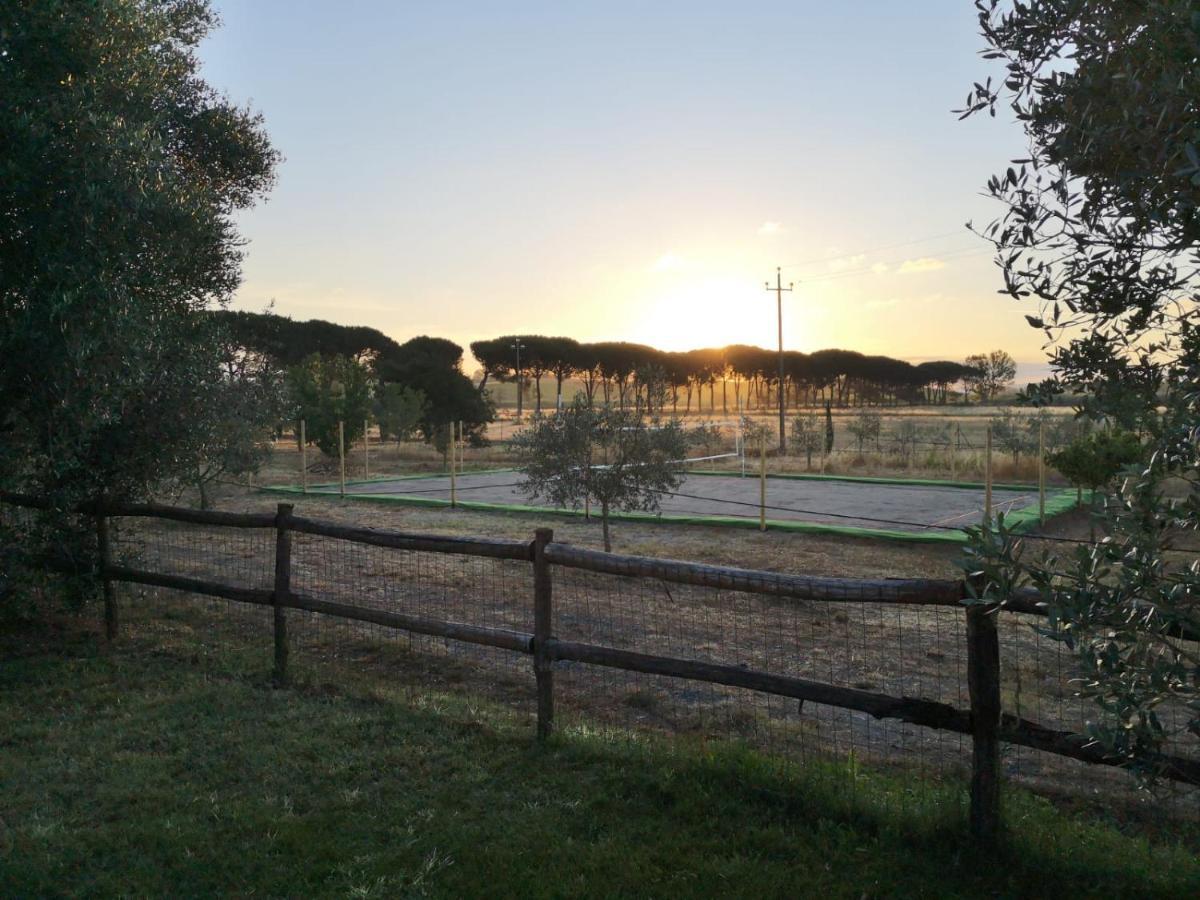 Il Podere Di Sole Vakantieboerderij