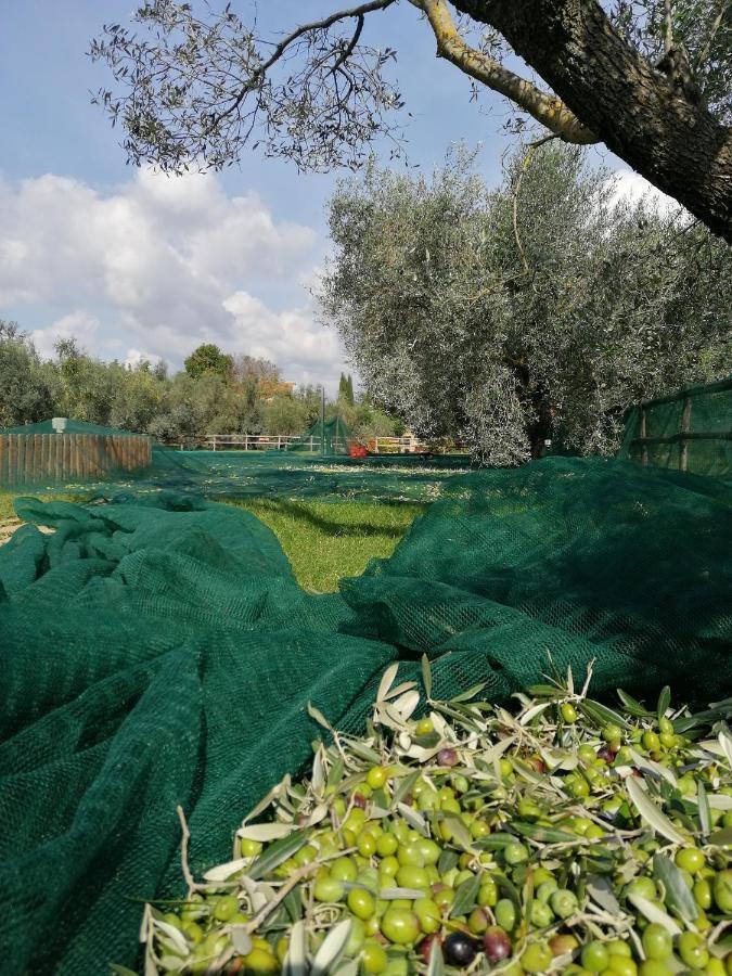 Il Podere Di Sole