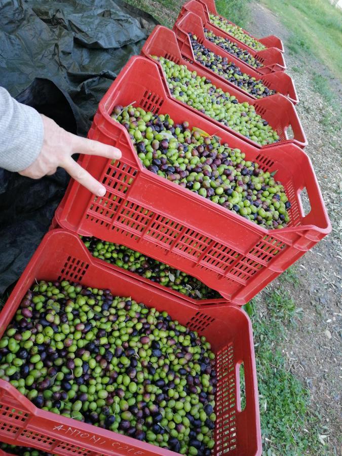 Il Podere Di Sole