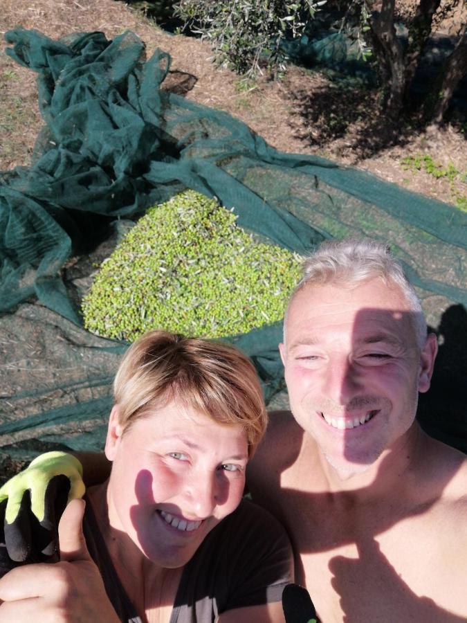 Vakantieboerderij Il Podere Di Sole