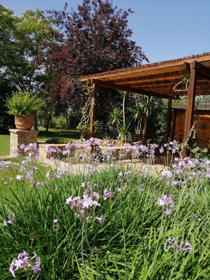 Vakantieboerderij Il Podere Di Sole *