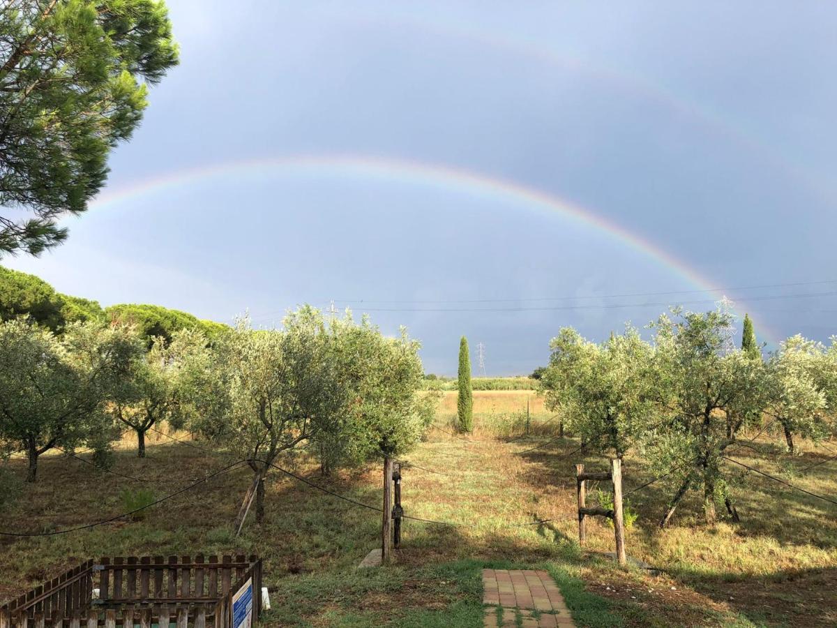 Il Podere Di Sole