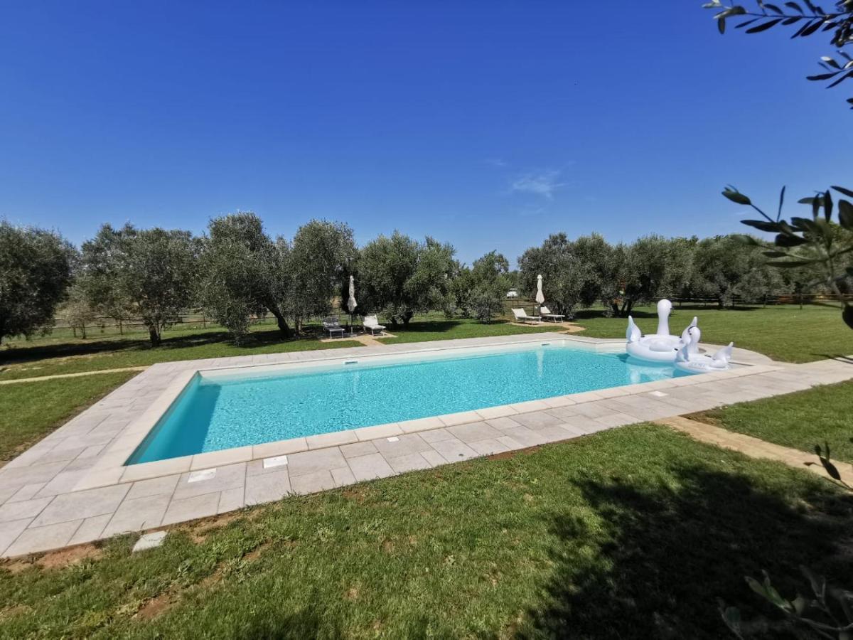 Vakantieboerderij Il Podere Di Sole *